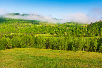 Fototapeta na wymiar green rural landscape in the morning. grassy pasture at the foot of the forested mountain. fog and cloud evaporating of the trees. sunny weather with blue sky
