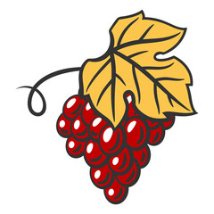 Illustration of bunch of red grapes. Winery image for restaurants and bars.