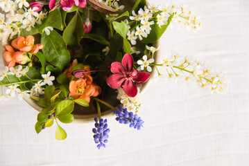 Spring blooming delicate flowers in a round vase on a table with a white tablecloth, a pastel bouquet and a delicate floral card