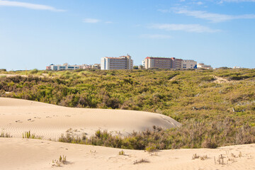 Vega Baja del Segura - Guardamar del Segura - Paisaje de dunas y vegetación junto al mar...