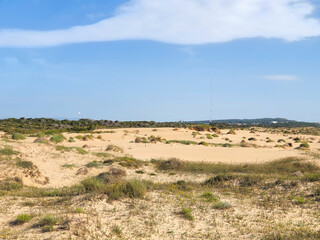 Vega Baja del Segura - Guardamar del Segura - Paisaje de dunas y vegetación junto al mar...