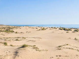 Fototapeta na wymiar Vega Baja del Segura - Guardamar del Segura - Paisaje de dunas y vegetación junto al mar Mediterráneo