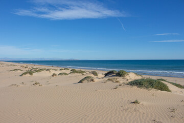 Vega Baja del Segura - Guardamar del Segura - Paisaje de dunas y vegetación junto al mar Mediterráneo