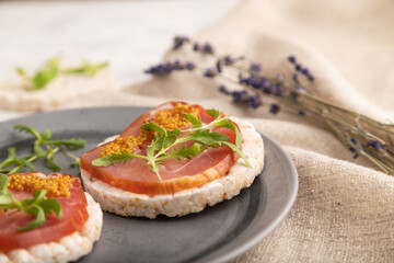 Puffed rice cake sandwiches with jerky salted meat, microgreen on gray concrete, side view,...