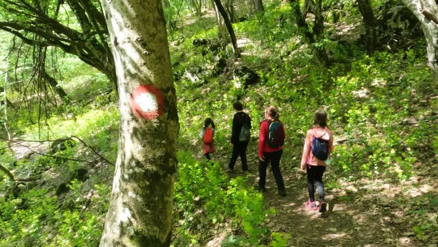 Hiking sign on tree at hike trail. Group of people with backpacks walking in the forest. Family on spring day in nature. Active vacation. 4K video footage.