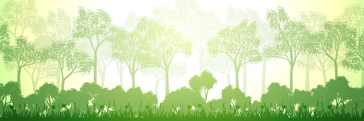Deciduous forest on a summer morning, panoramic view, vector illustration
