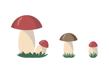 Set of illustrations of forest mushrooms