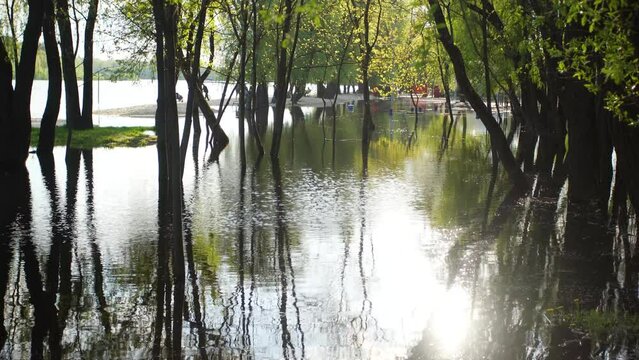 Anonymous unrecognizable people enjoying spring warm sunny weather outdoors on floded with river water beach. Trees and land covered with overflown water. 2022 Ukraine, Chernihiv