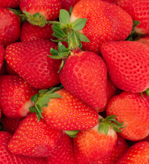 close-up view of a bunch of strawberries
