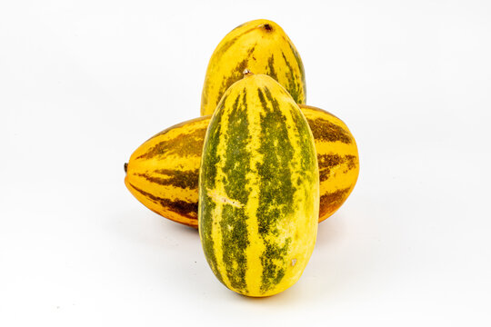 Vellery  Trichosanthes dioica, also known as pointed gourd, Vegetable, Orange and Green stripes, healthy food, isolated in white background, 3 pieces, studio lighting