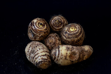 Taro Root, Pani Kachu, group isolated in extendable black background, studio lighting, macro, tropical food, healthy food, 