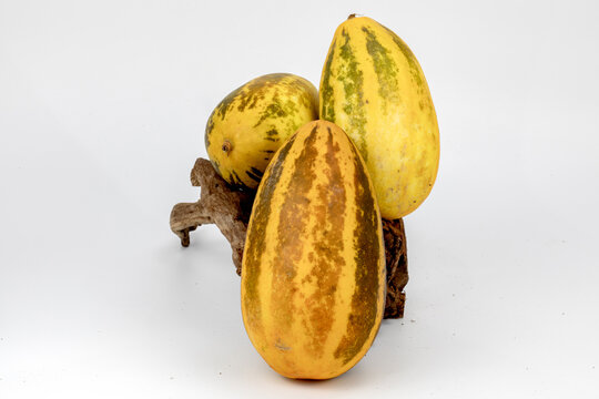 Vellery  Trichosanthes dioica, also known as pointed gourd, Vegetable, Orange and Green stripes, healthy food, isolated in white background, 3 pieces, studio lighting