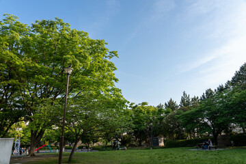 公園