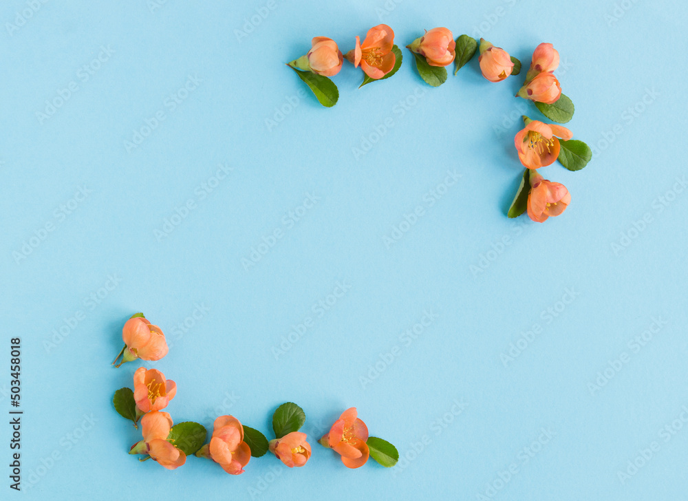 Poster top view of beautiful spring orange flowers on blue background with space for text. copy space