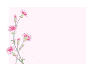 ピンクのカーネーションのフレーム