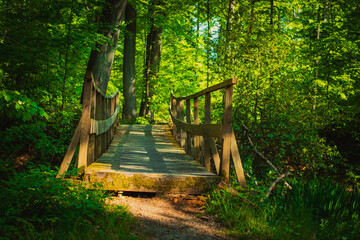 Holzbrücke im Wald.