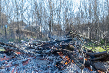 A slowly dying fire made of dry branches against a blurry background of a still bare spring garden. Garbage burning, seasonal garden care. Selective focus