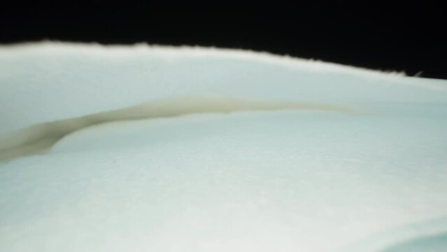 Blue absorbent diapers for babies. Dolly slider extreme close-up, inside. Laowa Probe