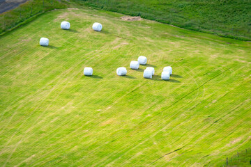 Packed in white bales harvested grass in Iceland field