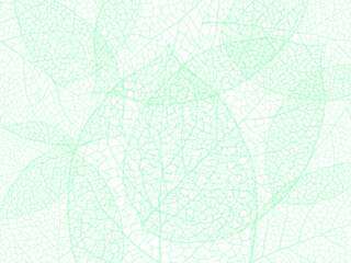 Beautiful background of leaves vector illustration.
