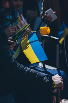Ukrainian flag and flower in the hand of a refugee woman. Peaceful demonstration of Ukrainian refugees against the war in Ukraine.