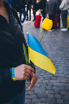 Ukrainian flag and flower in woman's hand. Peaceful demonstration of Ukrainian refugees against the war in Ukraine. 