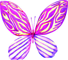 Exclusive watercolor butterfly illustration. Handmade image. Kraft. Use for wedding invitations, postcard and design. Perfect for delicate underwear design.