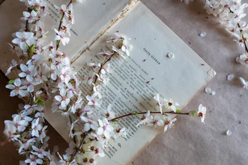 Fotobehang Flowers in blossom on book. Design and graphic elements © Andreshkova Nastya