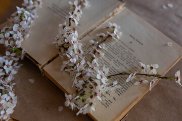 Flowers in blossom on book. Design and graphic elements