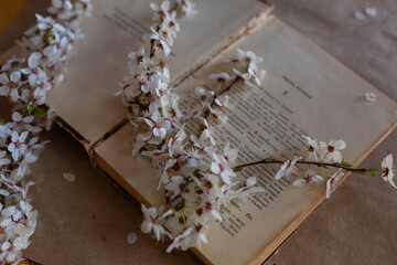 Flowers in blossom on book. Design and graphic elements