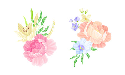 Beautiful spring garden flowers set. Blooming pink roses vector illustration