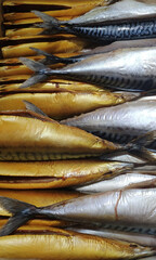 Mackerel fish, stacked in rows on the counter. Fish market.
