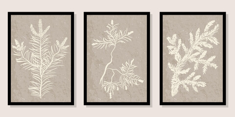 Fototapeta na wymiar Modern abstract plant vector set. Botanical wall art on neutral beige texture. Hand-drawn pine and fur branches. Contemporary minimalist design for interior decor, cover, wallpaper, poster, print