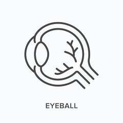 Eyeball flat line icon. Vector outline illustration of human internal organ. Black thin linear pictogram for ophthalmology