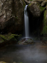 waterfall in the forest