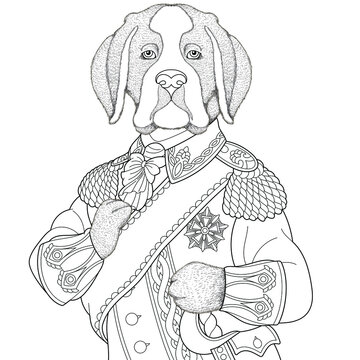 Mastiff dog man portrait. Fantasy animal coloring book page for adults