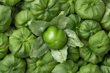 Fresh raw peeled green tomatillo in a husk full frame close up as background - obrazy, fototapety, plakaty