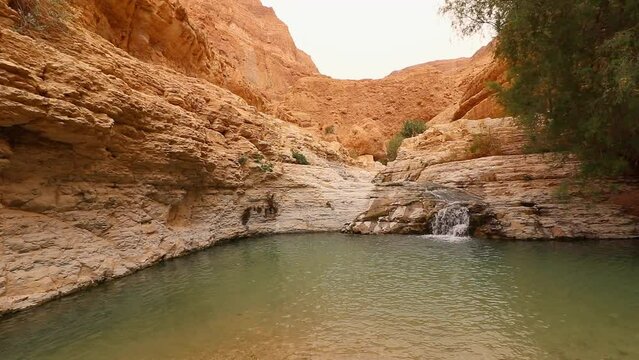 A small lake of fresh water and small waterfalls in Nahal Arugot, in the heart of the desert in Ein Gedi-Israel. cloudy day