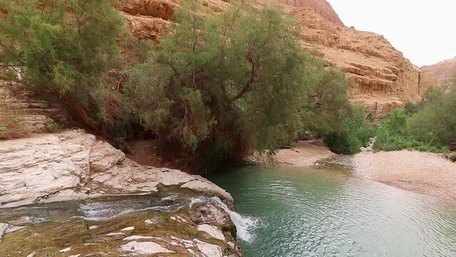 Aerial view of a small lake of fresh water and a small waterfall in Nahal Arugot, the desert in Ein Gedi-Israel. cloudy day
