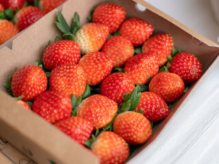 strawberries in a box