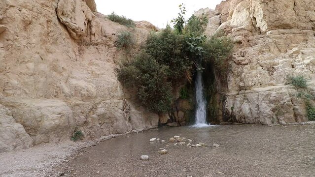 A waterfall of fresh water between the desert rocks in Nahal David, in the Ein Gedi Nature Reserve - Israel