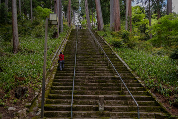 身延山　久遠寺　菩提梯