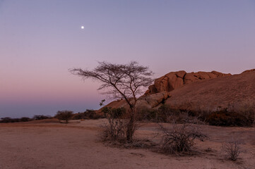 A bright full moon accentuates a red glowing desert and a pink sky. Namibian desert near Spitzkoppe.