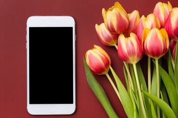 Smartphone mockup with tulips on claret background. Device screen mock up for presentation or appl...