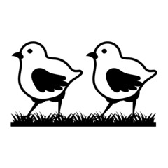 pullets or Baby free range chicken vector icon design, Poultry farming symbol, Meat or Eggs Production Sign, Protein and farmyard equipment stock illustration, Pair of chicks Concept