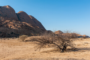 Landscape shot of the Namibian desert near Spitzkoppe, around sunset.