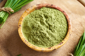 Barley grass powder with fresh barley gras