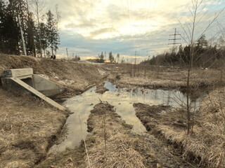 the road in the forest