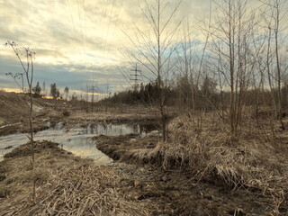 the river in the forest