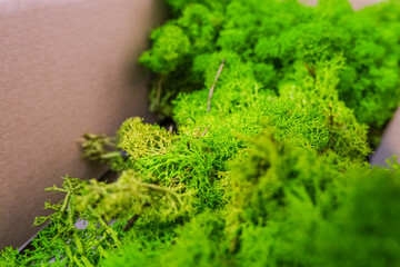 Decorative moss details